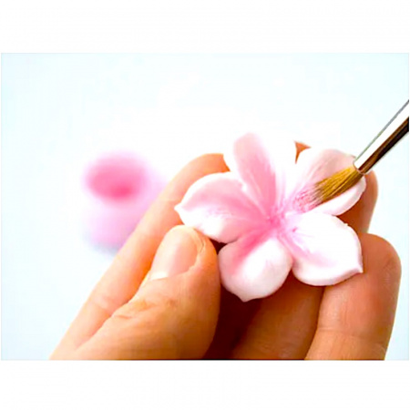 Пищевой краситель цветочная пыльца Фиолетовая 5 гр. Пищевой краситель цветочная пыльца Фиолетовая 5 гр.